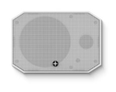 610169 Satellite Speaker IP64 Client wit
