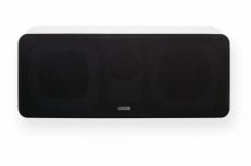 Wall Speaker